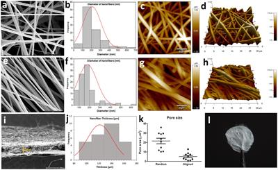 Random cellulose acetate nanofibers: a breakthrough for cultivated meat production